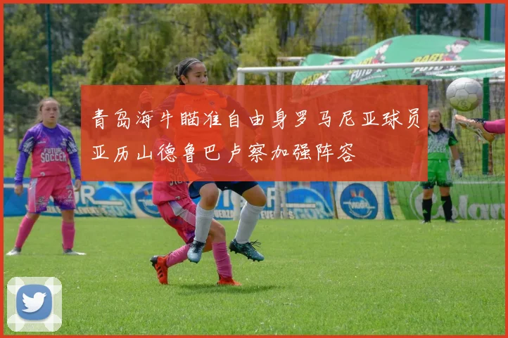 青岛海牛瞄准自由身罗马尼亚球员亚历山德鲁巴卢察加强阵容
