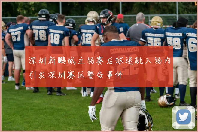 深圳新鹏城主场赛后球迷跳入场内引发深圳赛区警告事件