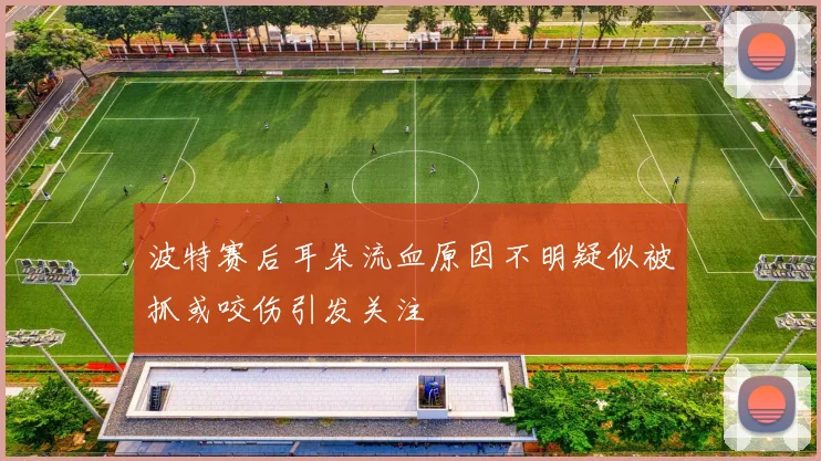 波特赛后耳朵流血原因不明疑似被抓或咬伤引发关注