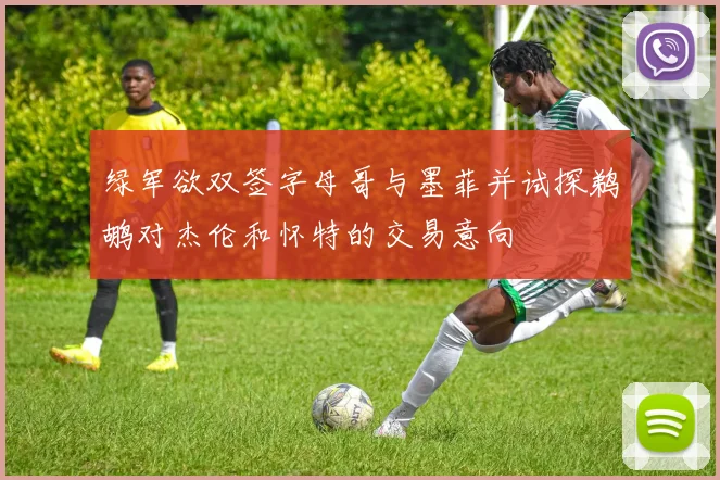 绿军欲双签字母哥与墨菲并试探鹈鹕对杰伦和怀特的交易意向
